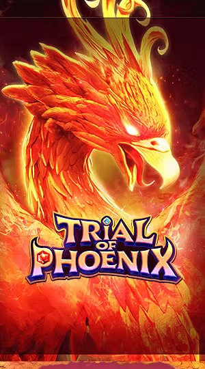 Loto Đại Cường