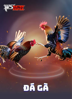 Cá Vàng Phúc Vận